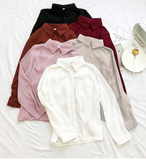 Long Sleeve Blouse